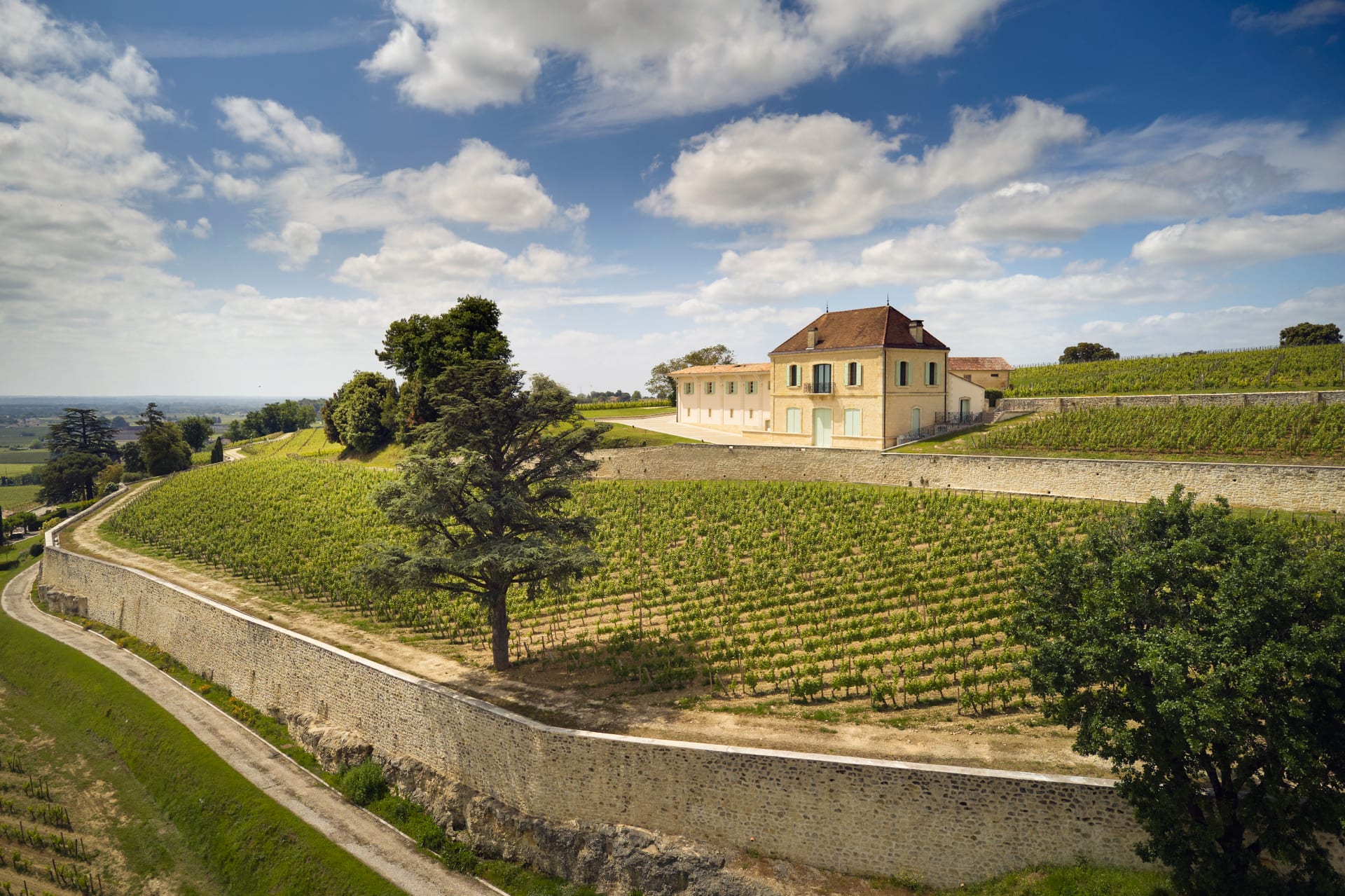 62_CHATEAU_PAVIE_DECESSE-