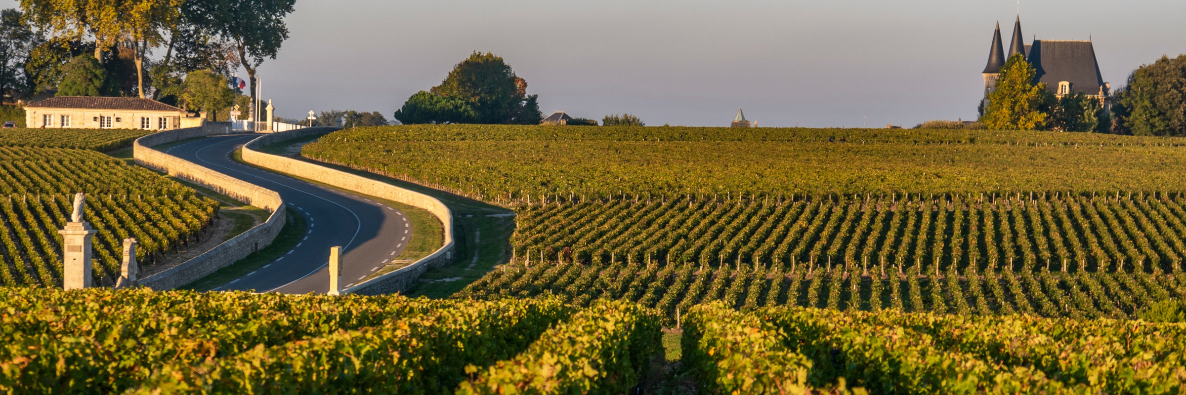 2021 Bordeaux Wine collection