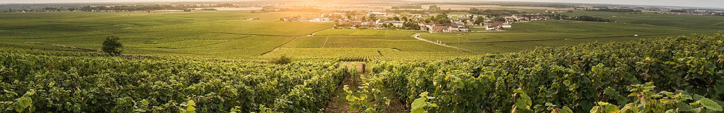 Bordeaux