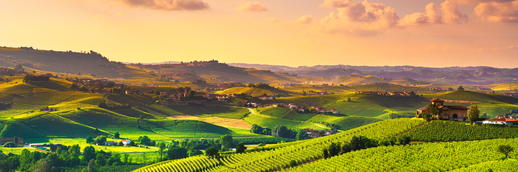 Piedmont Canadian Liquor Store Fine Wine & Spirits