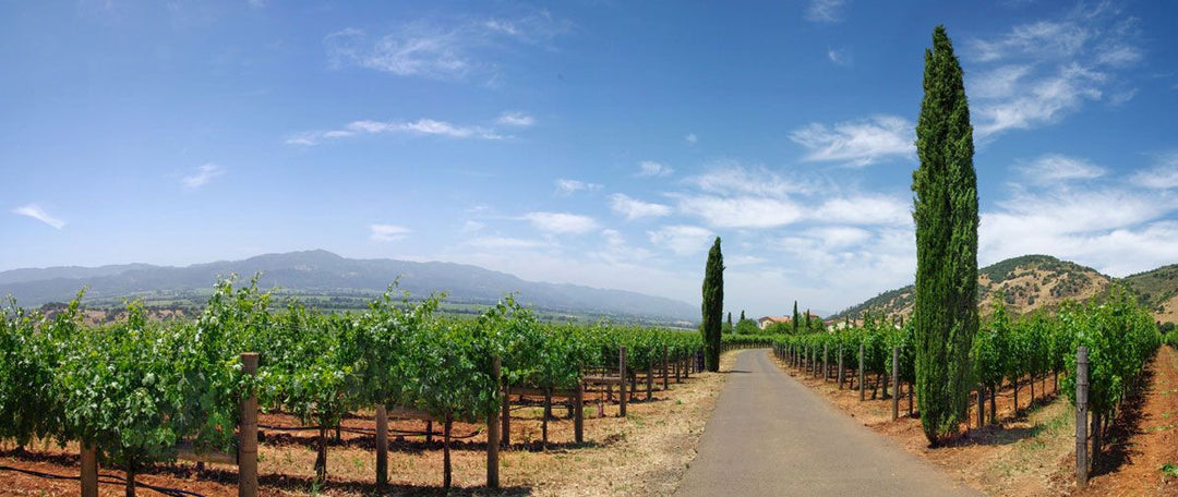 DALLA VALLE VINEYARD