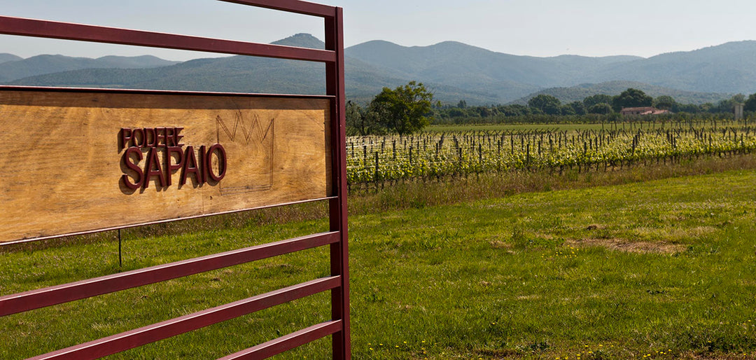 PODERE SAPAIO WINERY