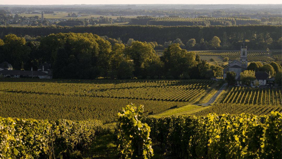 Sauternes
