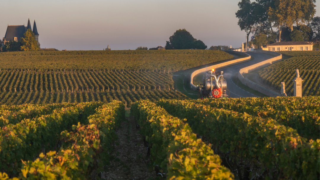 Pauillac