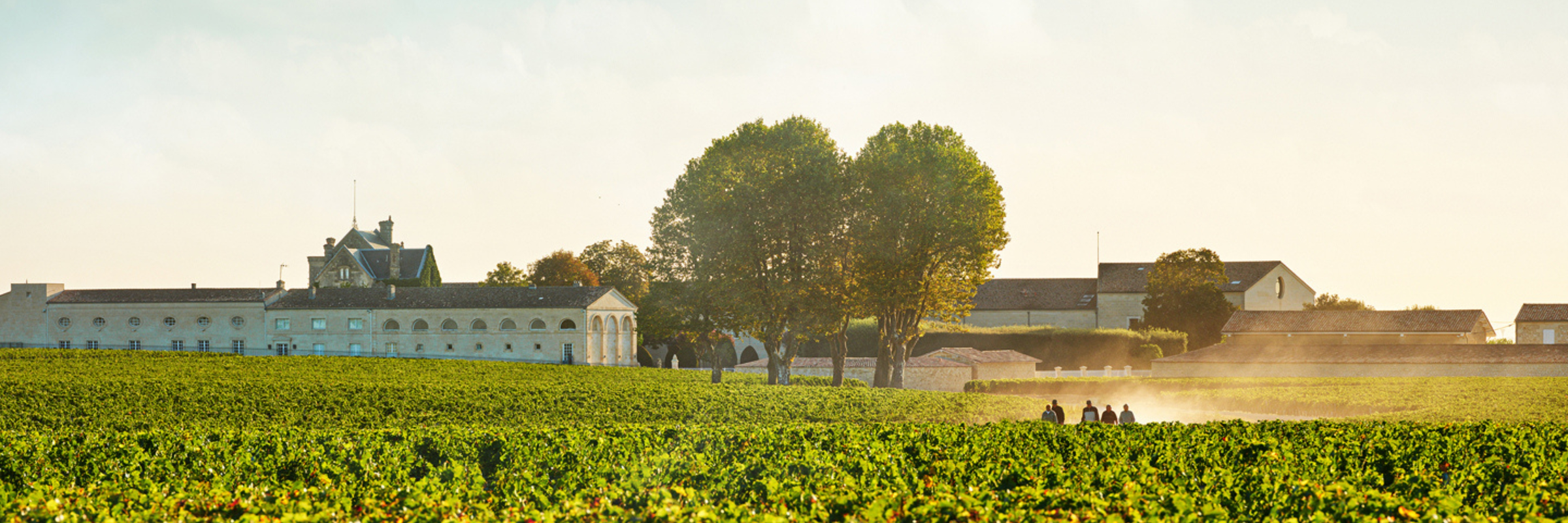 Chateau Mouton Rothschild
