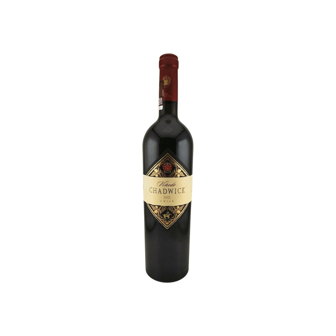 VINEDO CHADWICK 2022 (Case of 3)