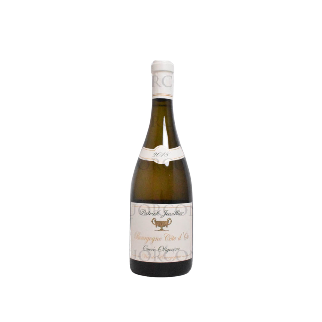 PATRICK JAVILLIER OLIGOCENE BOURGOGNE