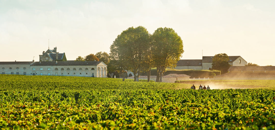 Chateau Mouton Rothschild – Canadian Liquor Store